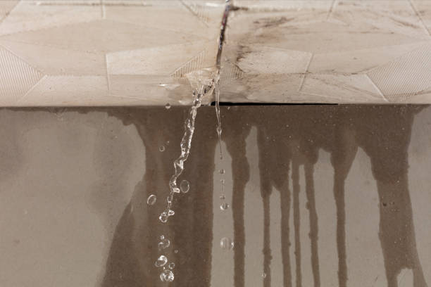 Professional Water Damage Inspection technician working in Montebello, NY